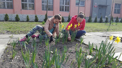 Technikum Zawodowe Nr 1