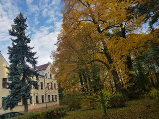 Liceum Ogólnokształcące im. Czesława Tańskiego w Puszczy Mariańskiej