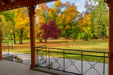 park szkolny jesienią