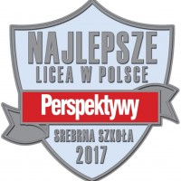 Perspektywy srebrna 17