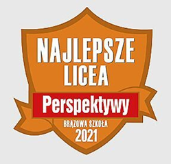 Perspektywy brązowa 21