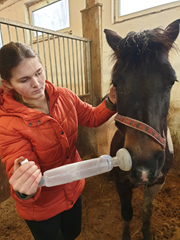Zajęcia praktyczne - inhalacja u konia