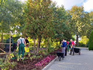 porządkowanie terenu
