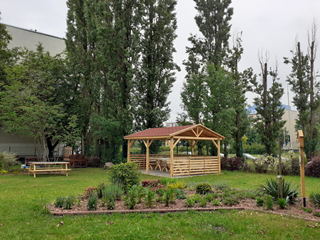 14. ogród
