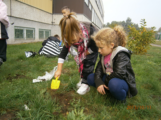 wspólnie troszczymy się o środowisko naturalne