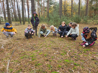 leśna edukacja