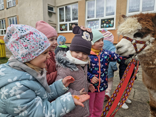 Mamy ciekawych gości