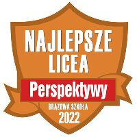 Perspektywy brązowa 22