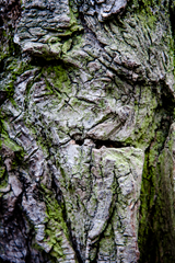 natura