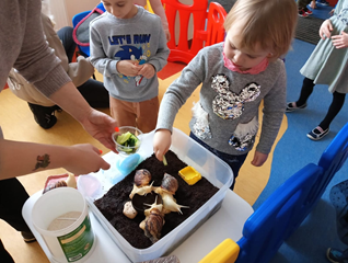 zajęcia ze ślimakami 