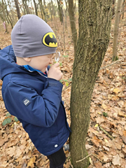 Edukacja przyrodnicza w otoczeniu przedszkola