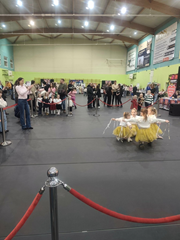 Wielka Orkiestra Świątecznej Pomocy 2026