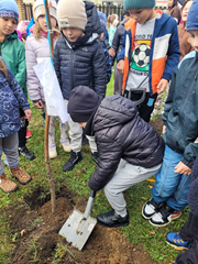 Dzień drzewa - nowe nasadzenia 