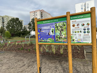 Szkoła przyjazna przyrodzie