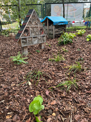 szkoła przyjazna przyrodzie