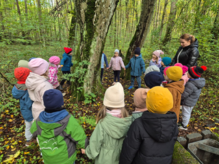 Dzieci stoją dookoła drzewa. Wycieczka do lasu.