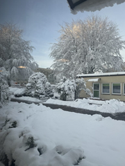 zimowy krajobraz ogrodu 