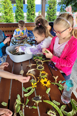 Zajęcia świetlicowe