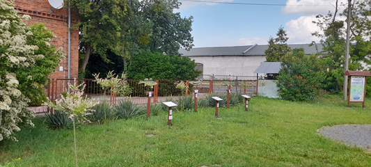 Teren zielony - ścieżka eduklacyjna