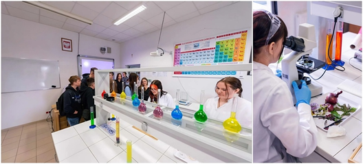 pracownia analityczna