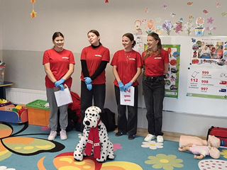 Pokazy w przedszkolach