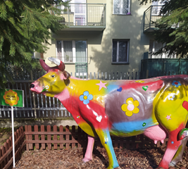 Krowa Malina - sympatia dzieci z przedszkola i żłobka