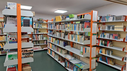 Biblioteka