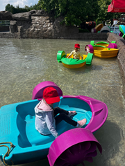 zabawy w parku owadów