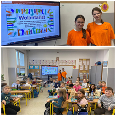wolontariat
