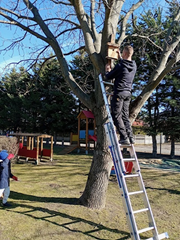 Zaprośmy ptaki do Tarnowa