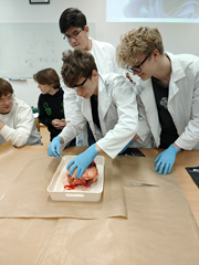 Liceum Ogólnokształcące