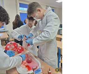 Walentynkowa lekcja chemii