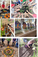 Aktywność przyrodnicza