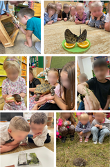 Innowacje pedagogiczne