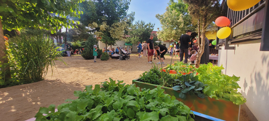 dbamy, sadzimy, obserwujemy