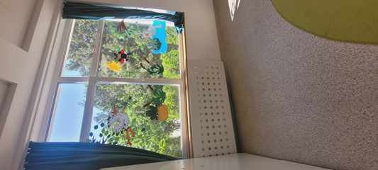 przez kolorowe okno patrzymy na świat