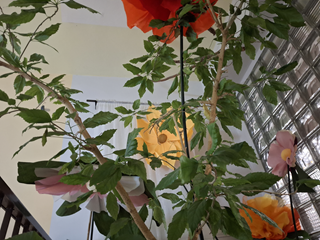 szkoła przyjazna uczniowi