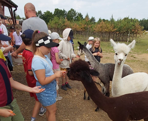 Spotkanie ze zwierzakami