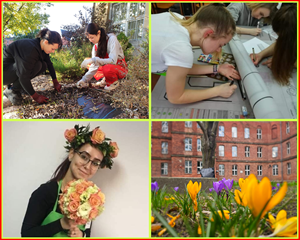 Technik architektury i arborystyki