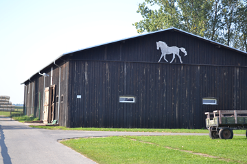 Kryta ujeżdżalnia dla koni