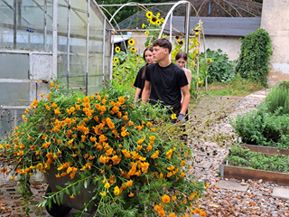 Zajęcia w szkolnej szklarni w zawodzie technik architektury krajobrazu