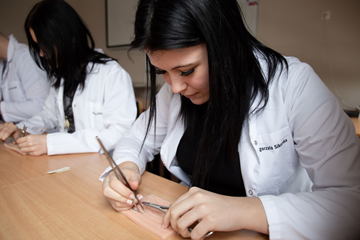 Pracownia zabiegowa w zawodzie technik weterynarii