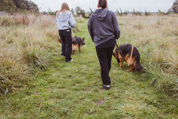 Szkolne koło wolontariatu działa m.in. w lokalnym schronisku