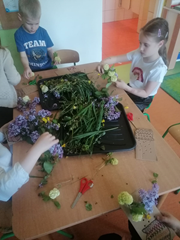 Zajęcia hortiterapeutyczne