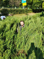 Technik Architektury Krajobrazu i Arborystyki 