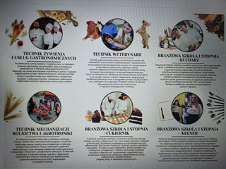 Opis kierunków kształcenia 