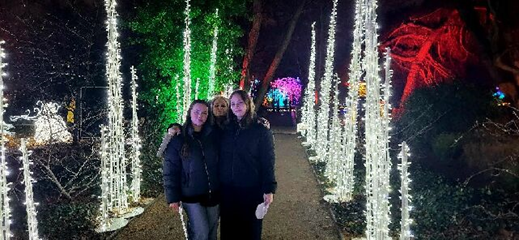 Ogród Świateł W-wa przedświateczna