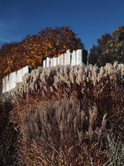Ogrodnik Terenów Zieleni