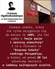 brązowa szkoła