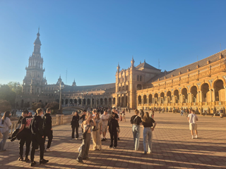 praktyka zagraniczna